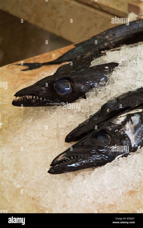 black scabbard fish|Madeira Black Scabbard Fish.